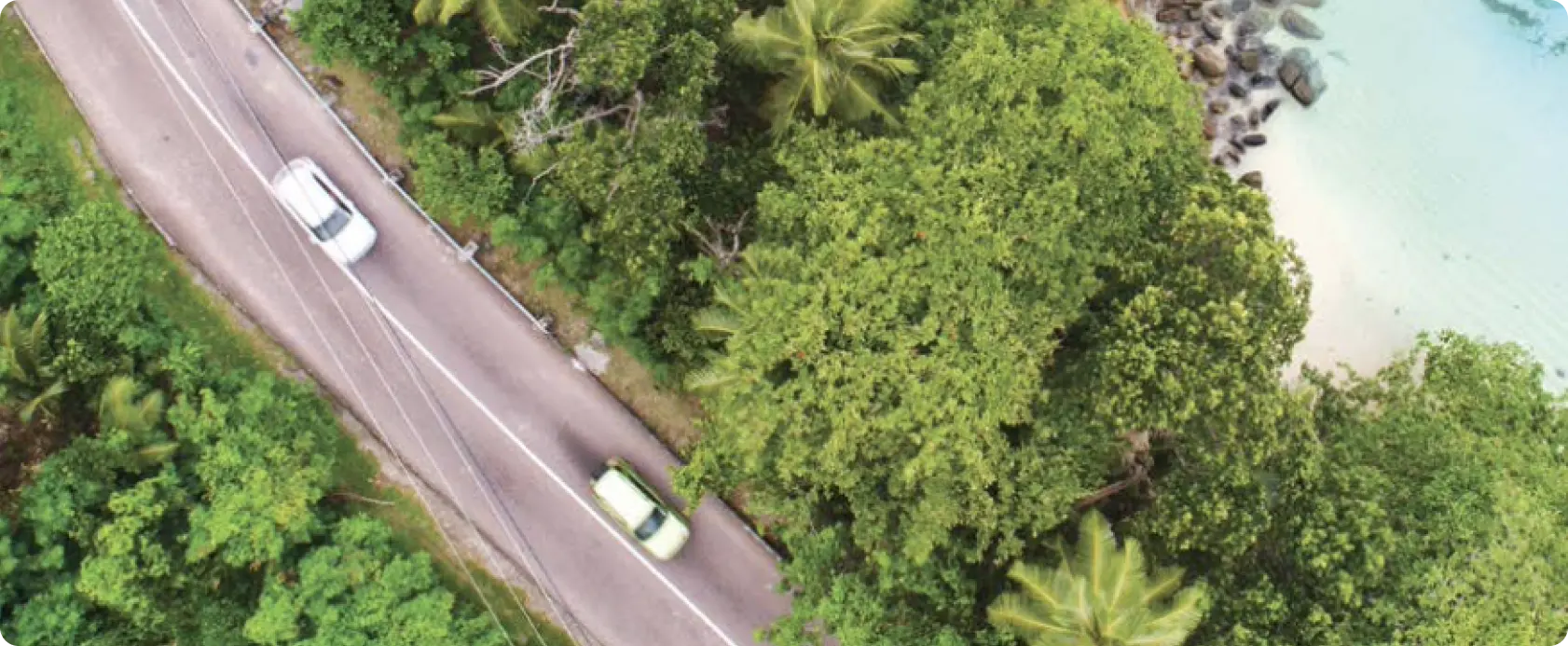 Background image on the terms page. It's a drone view from the top of two cars following each other on a straight road going from the top left corner to the bottom right corner with trees surrounding them from all sides.